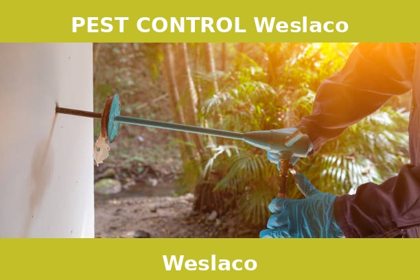 PEST CONTROL Weslaco
